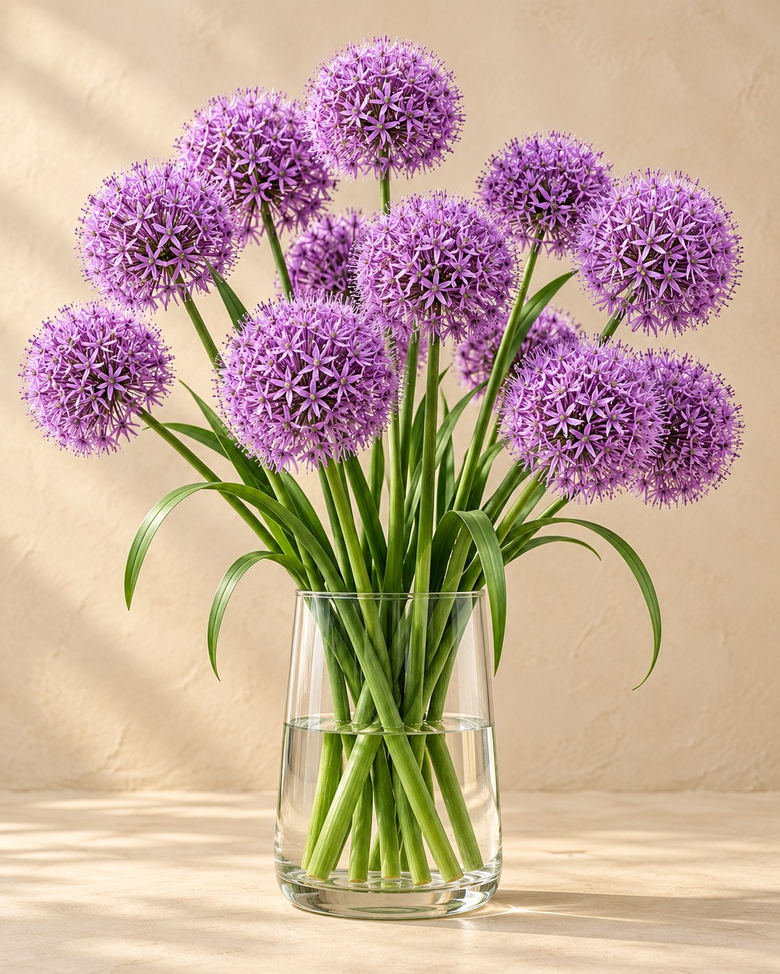 Prydløg Gladiator i blomst i en vase