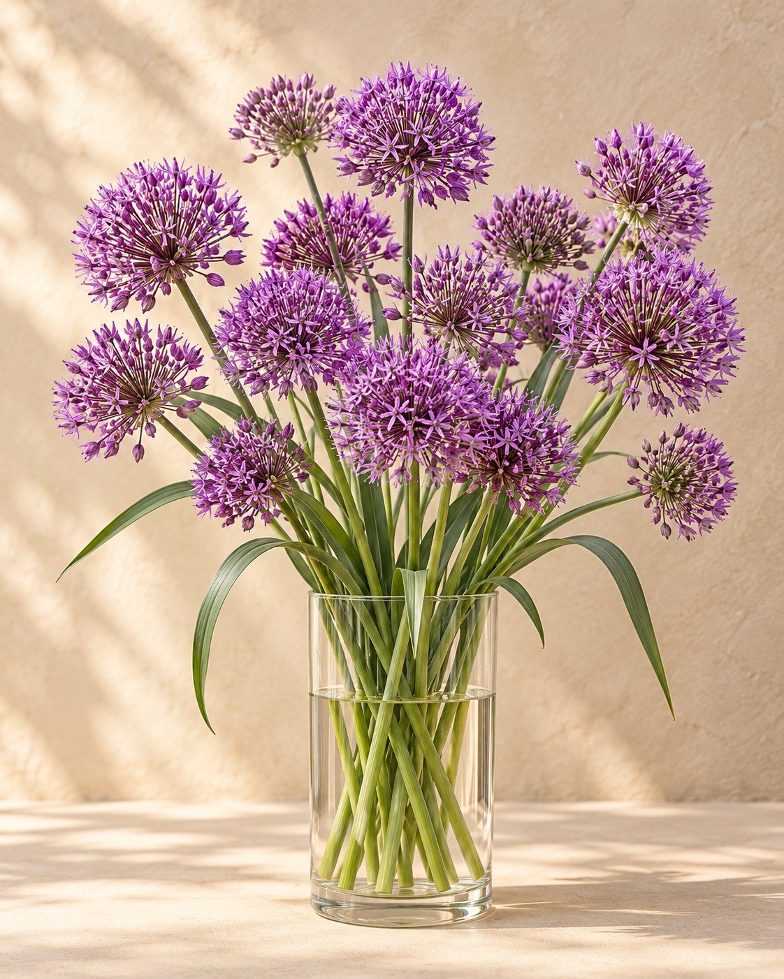 Bulbos de allium Purple Rain en flor en un jarrón