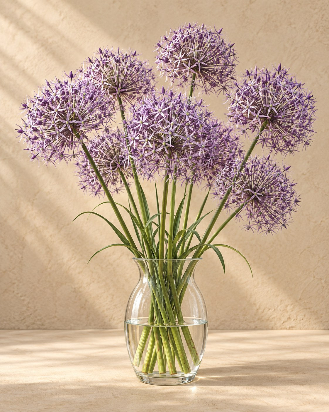 Allium Christophii in bloei in een vaas