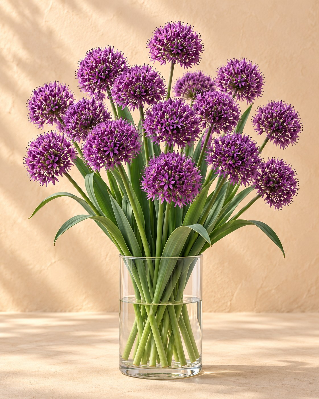 Prydløg Miami i blomst i en vase