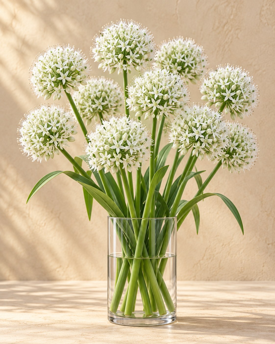 Allium Mount Everest in bloei in een vaas