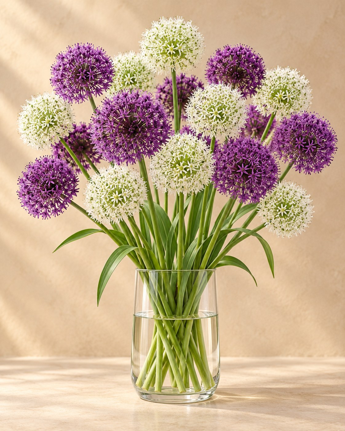Prydløg Purple-White mix i blomst i en vase