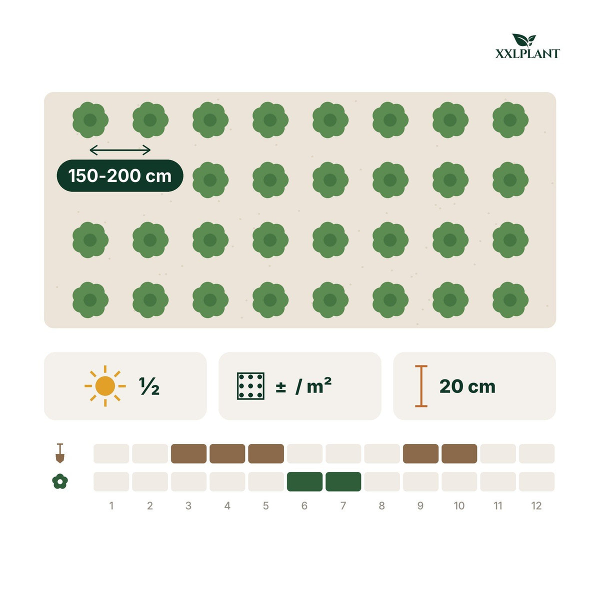 Planting card Organic blackberry