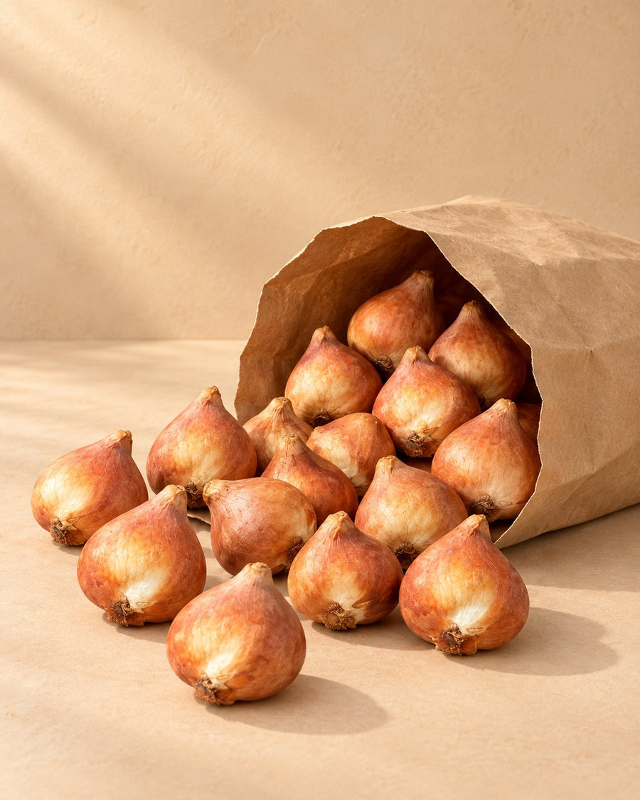 Bloembollen Bulb Garden mix