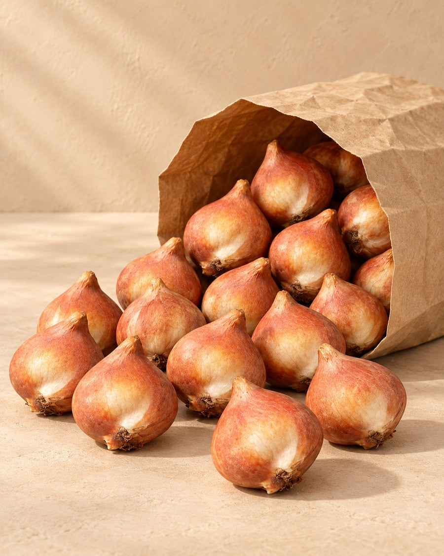 Bloembollen Bulb Garden Pink (mix)