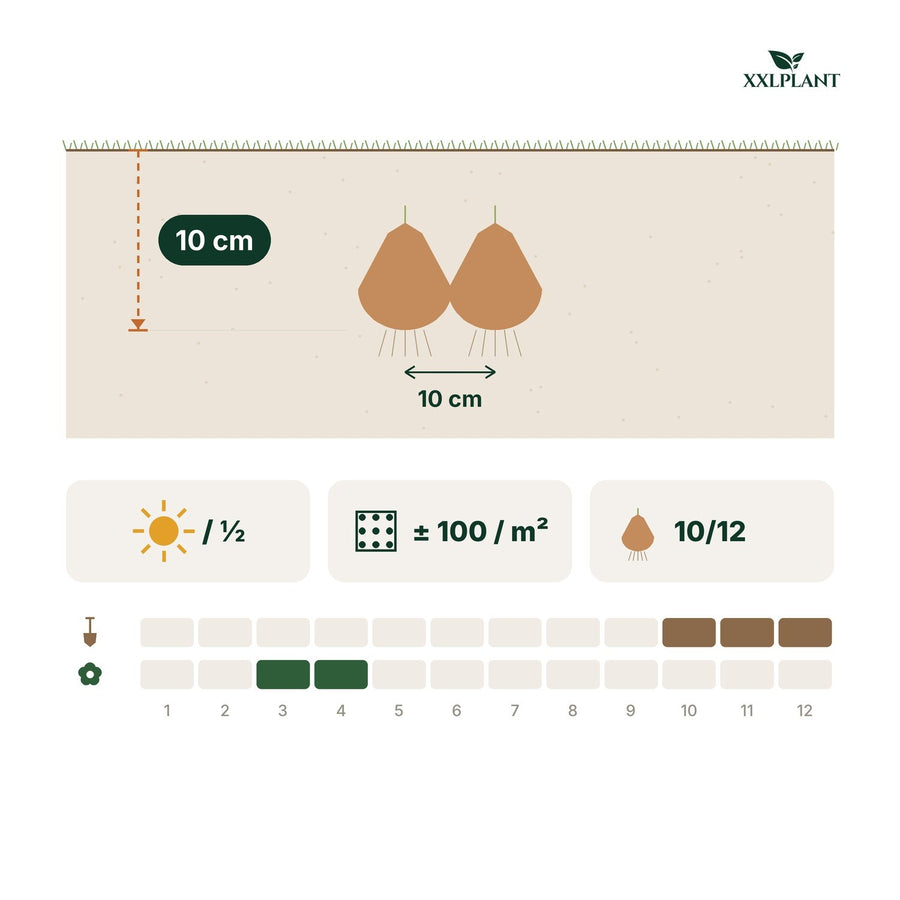 Bloembollen Natte Tuin mix (Bulb Wet Garden)