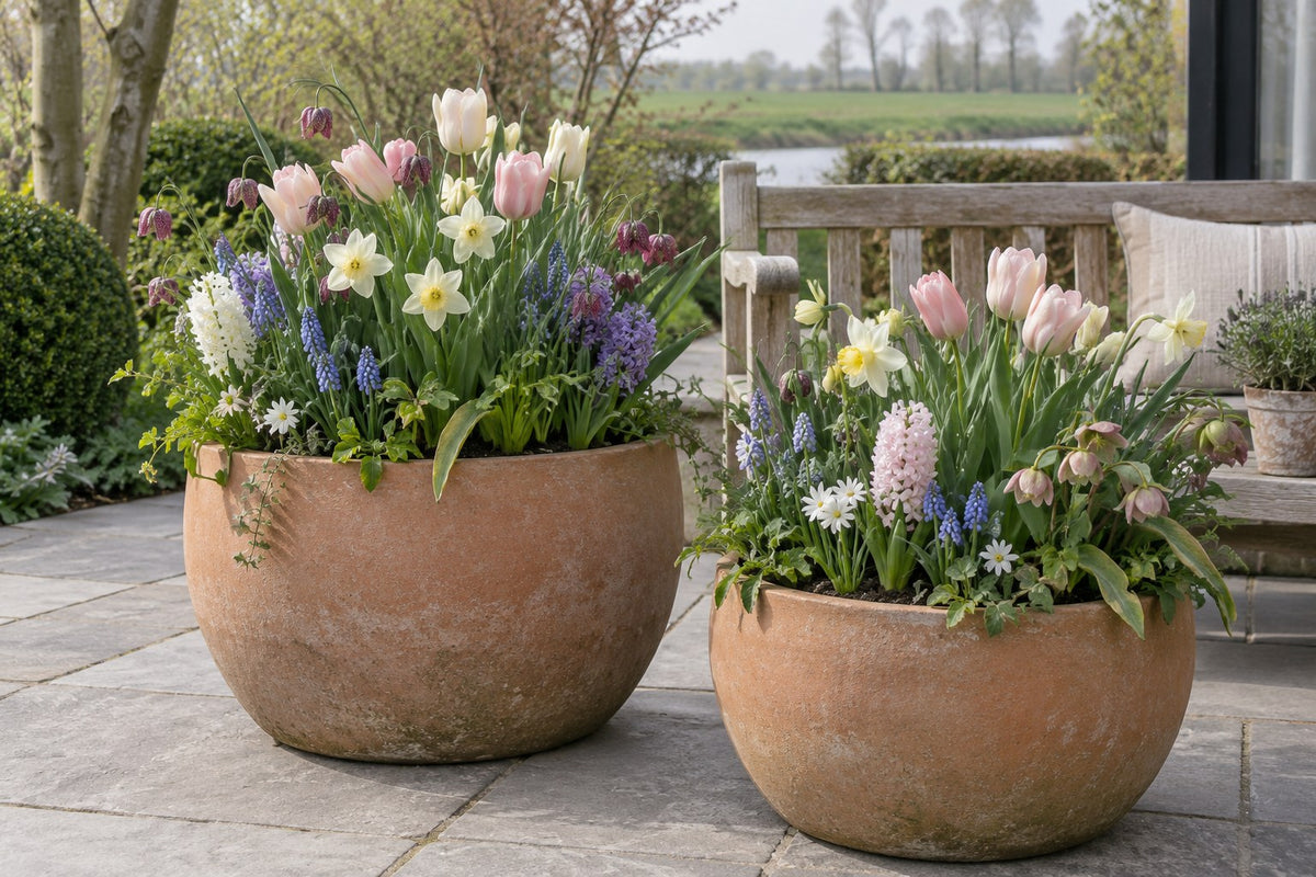 Bloem Natte Tuin mix in bloei in potten op een terras