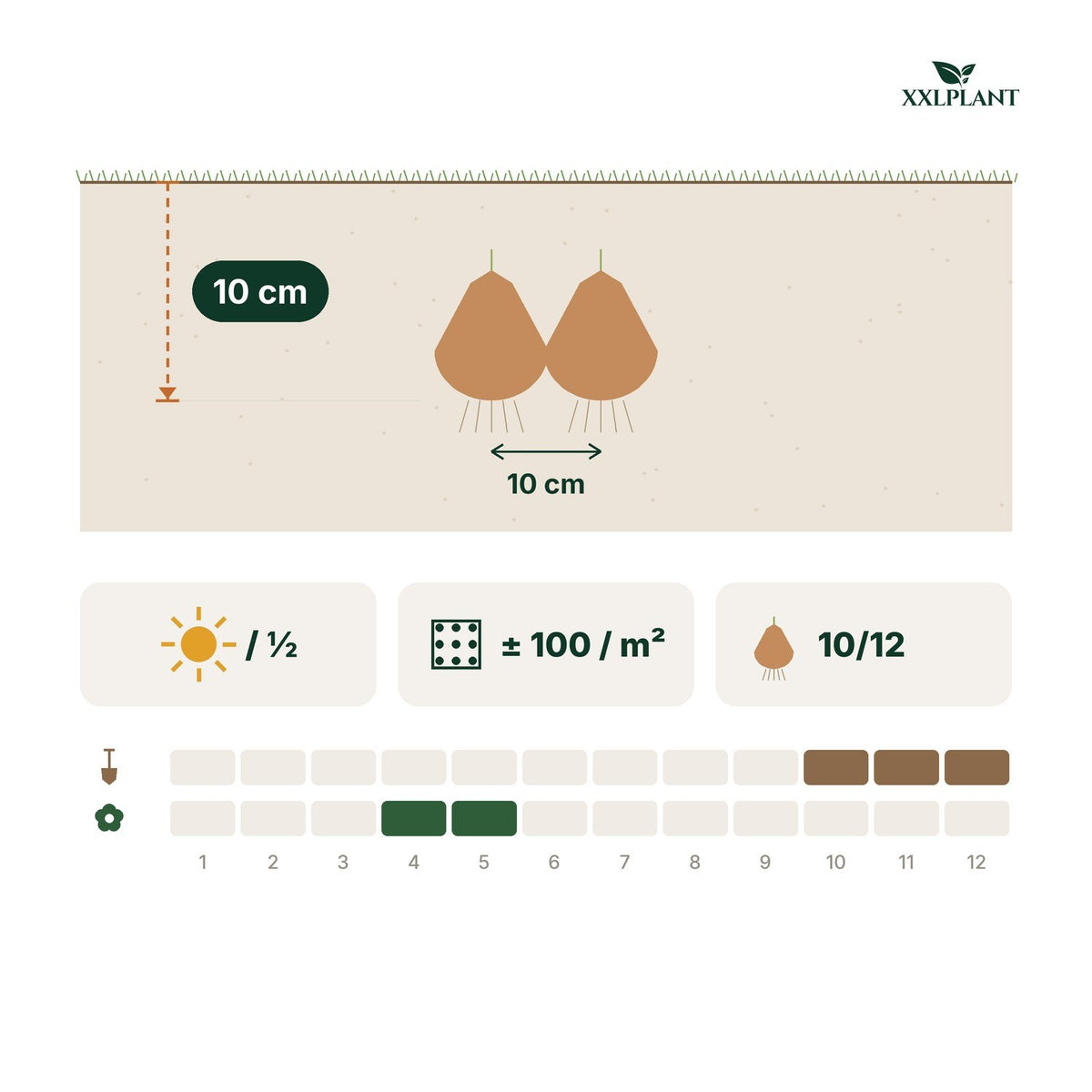 Plantkaart bloembollen schaduwtuin mix: 10 cm diep, 10 cm uit elkaar