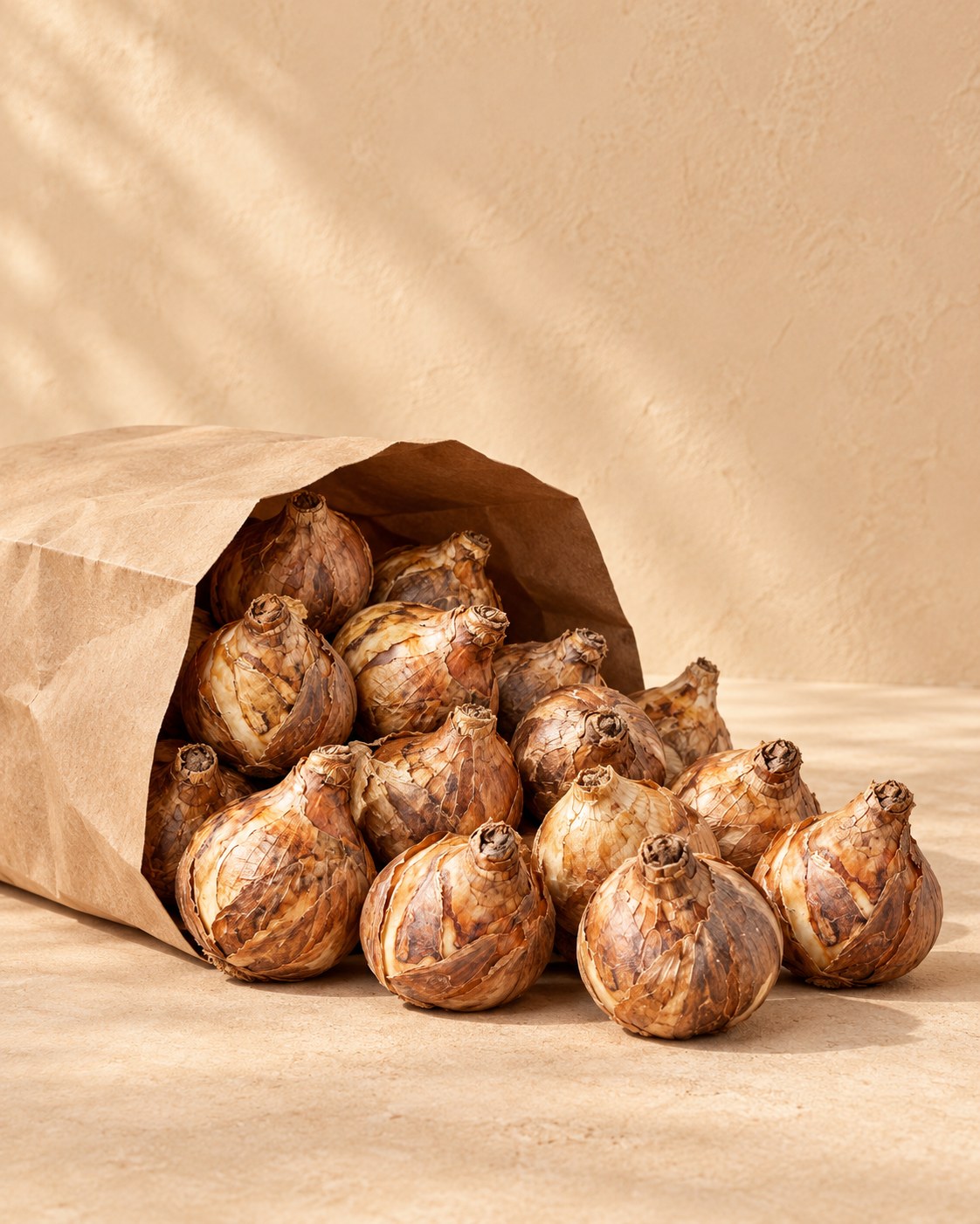 Bollen van bloem sunny garden mix