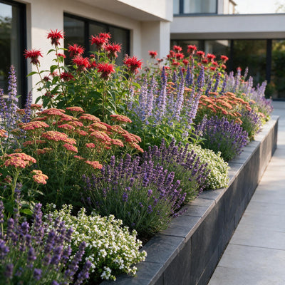 Fragrant border package