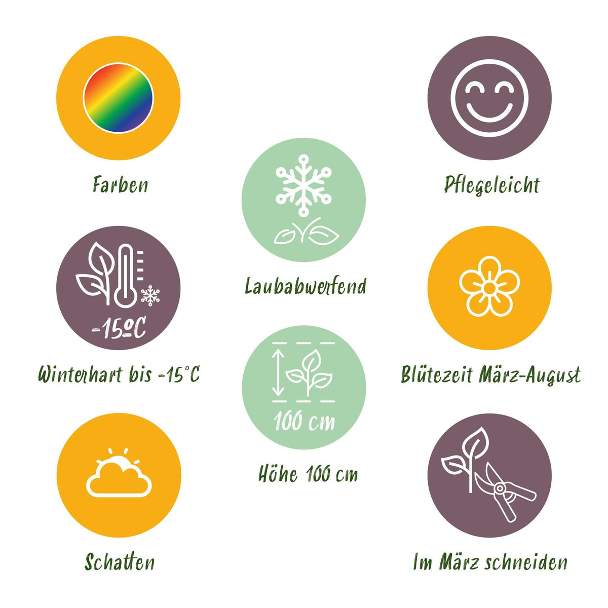 Borderpakket schaduw (24 vaste planten)