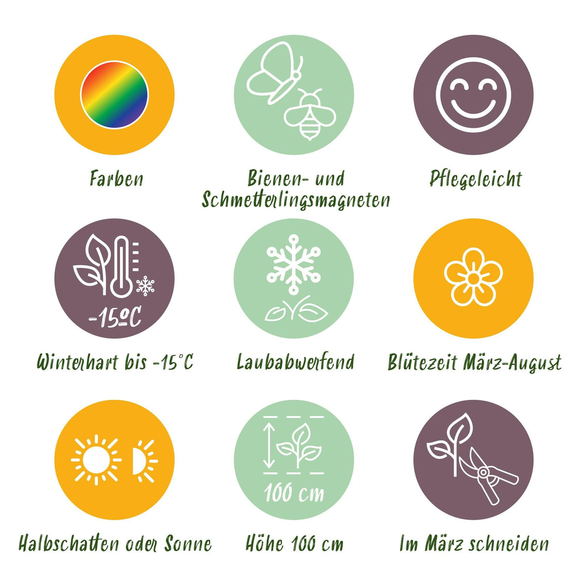 Borderpakket wit (24 vaste planten)