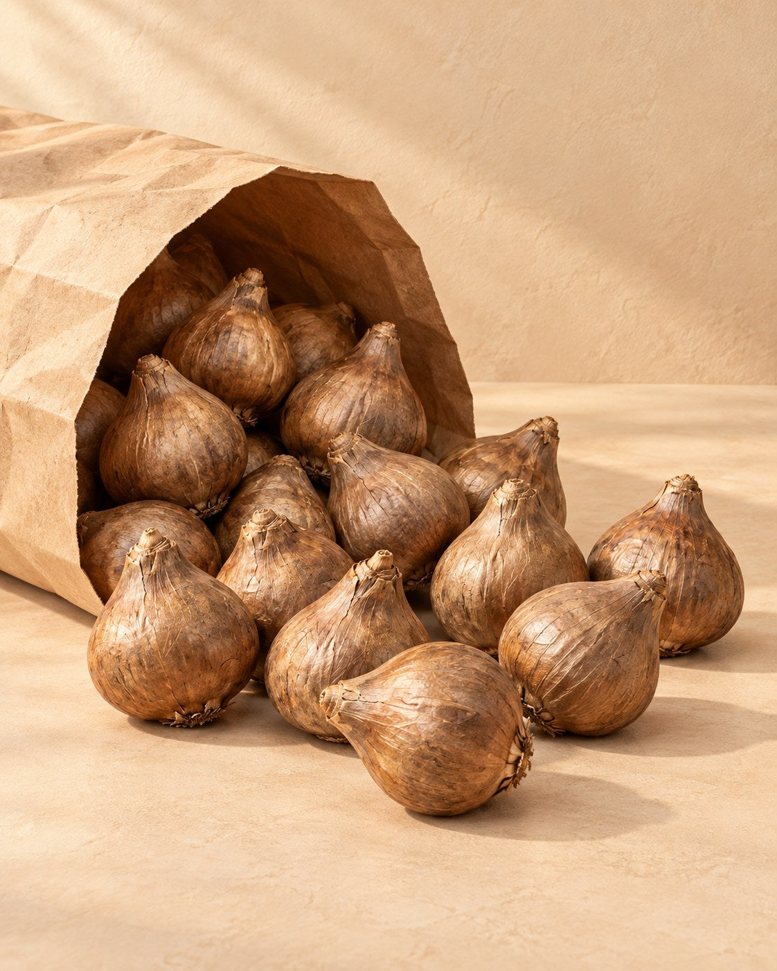 Bulbos de Bulbos de camassia Leichtlinii mix