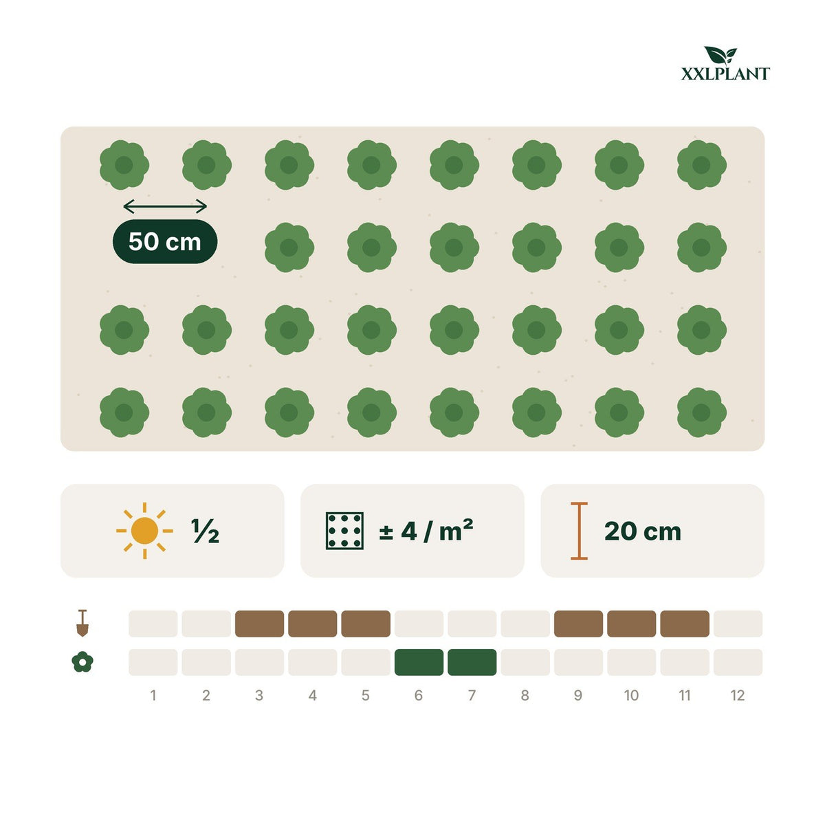 Planting card Organic raspberry plant