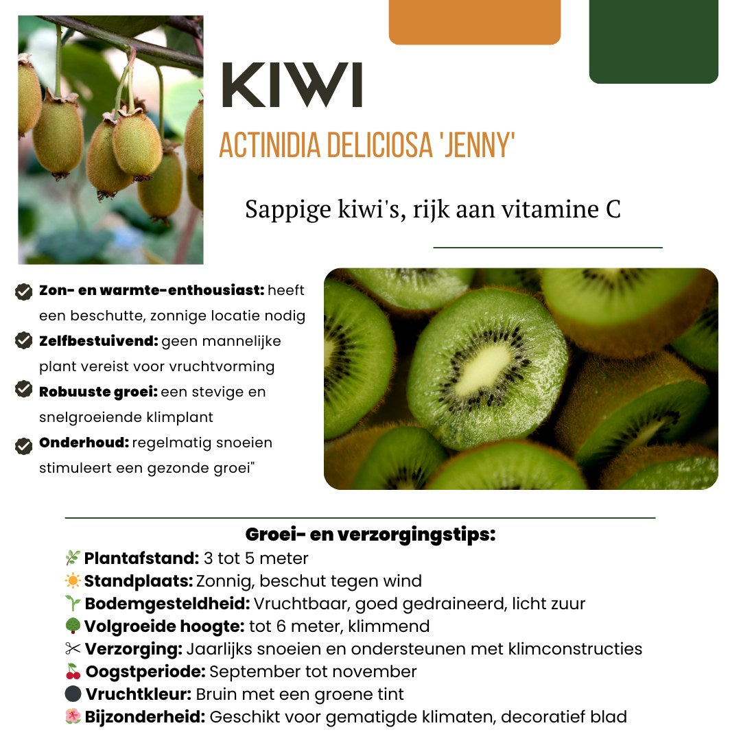 Fruitplanten set Zoete oogst trio (3 biologische fruitplanten)