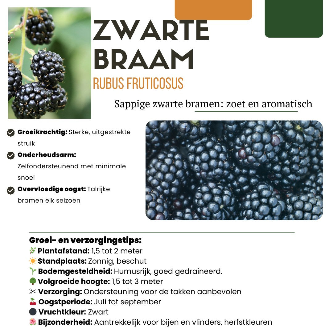 Fruitplanten set Zoete oogst trio (3 biologische fruitplanten)