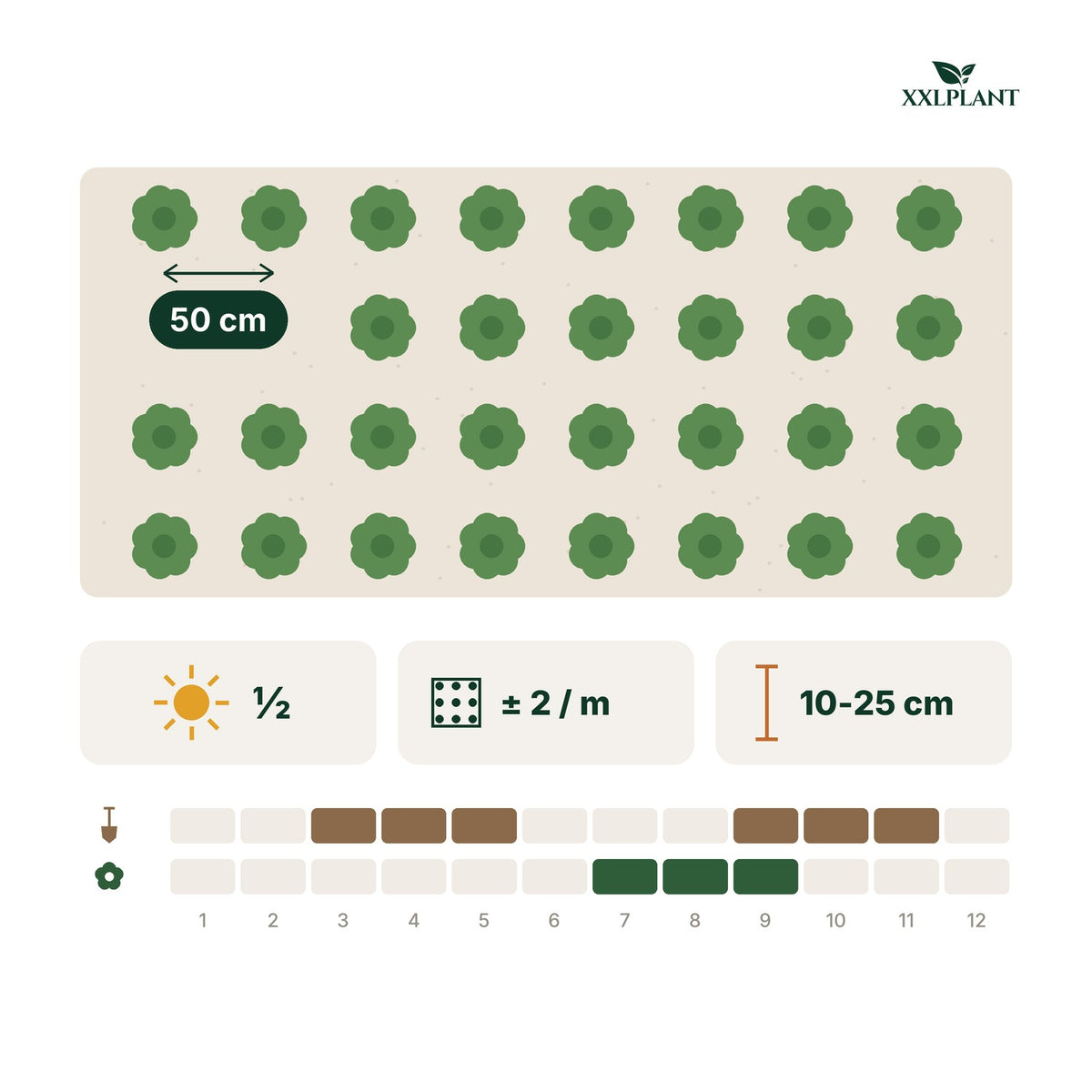 Plantkaart hertshooi hypericum inodorum: ongeveer 2 planten per meter