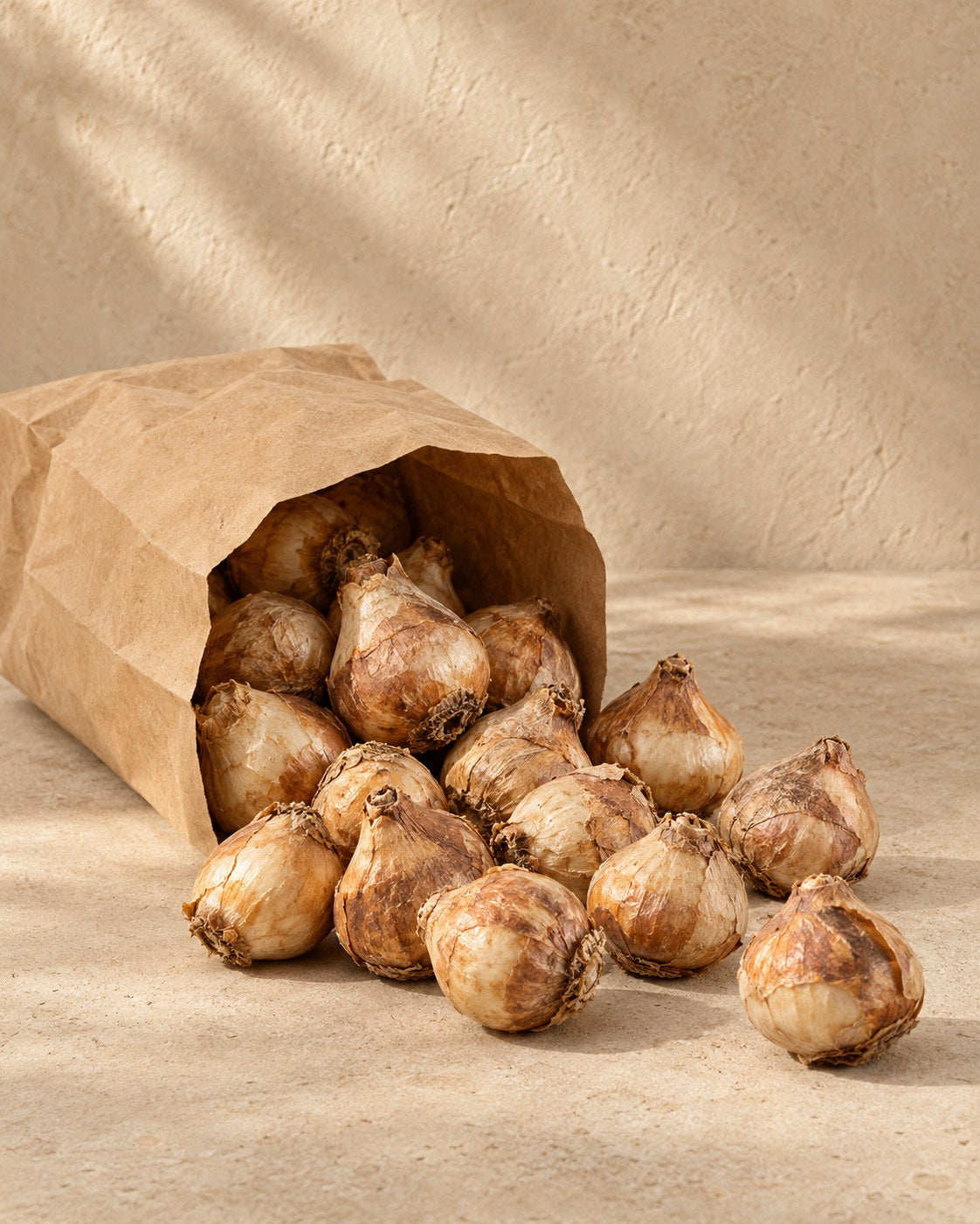 Bollen van hyacinten pastel mix