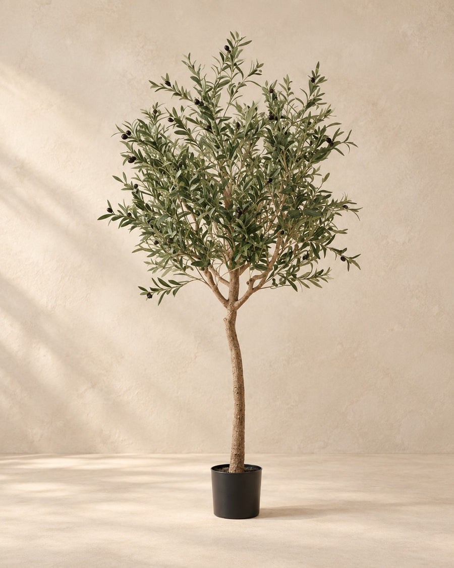 Olivo artificiale (Olea europaea), 180 cm di altezza