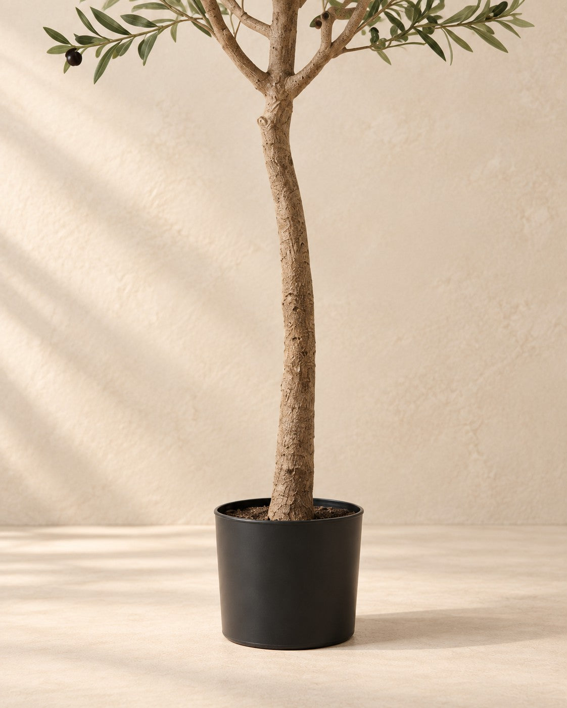 Primo piano del tronco di Olivo artificiale (Olea europaea)