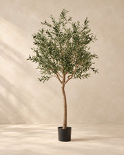 Olivo artificiale (Olea europaea), alta 180 cm in vaso di coltivazione da 15 cm