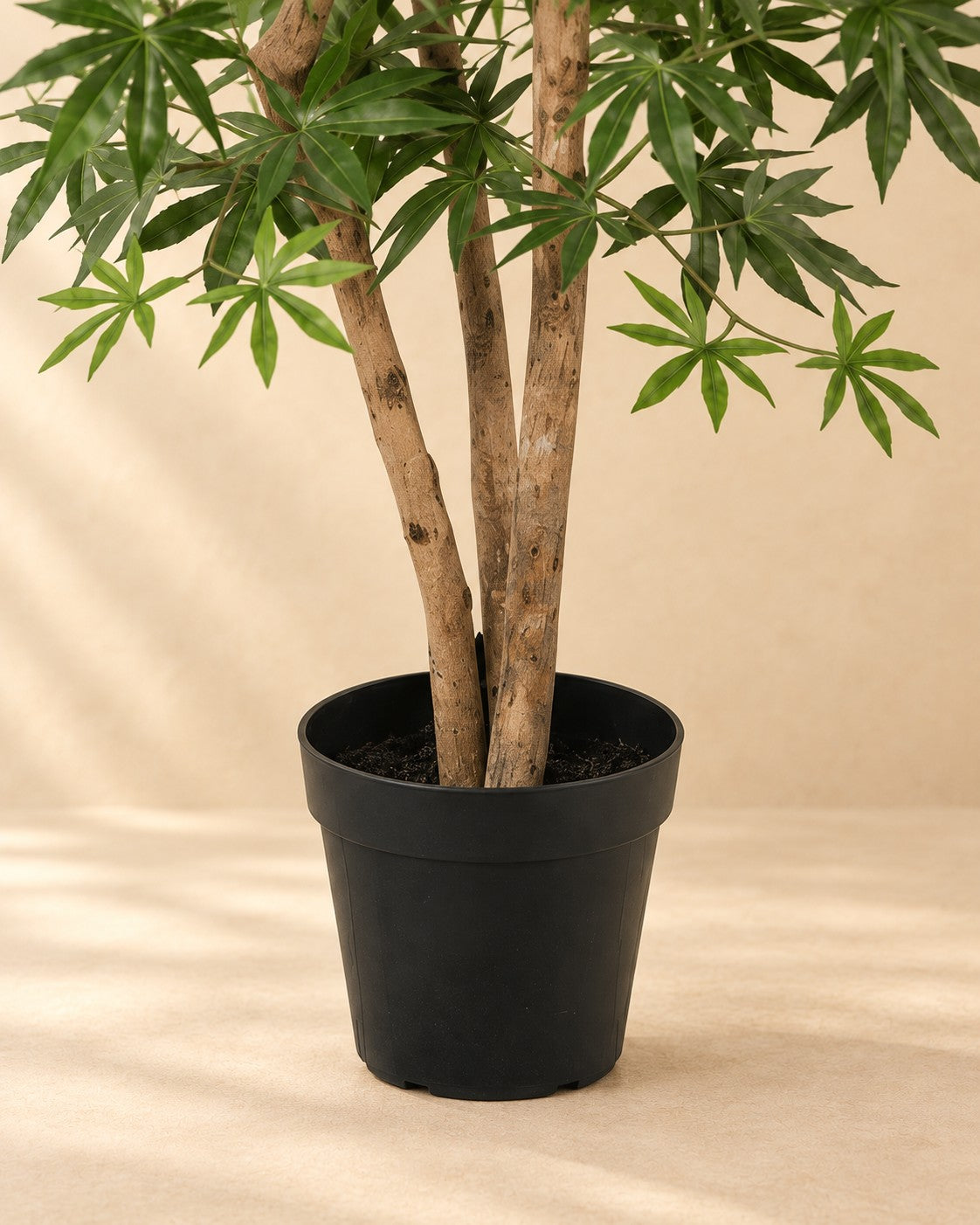 Parte bassa di Pianta artificiale Acer Palmatum con il vaso