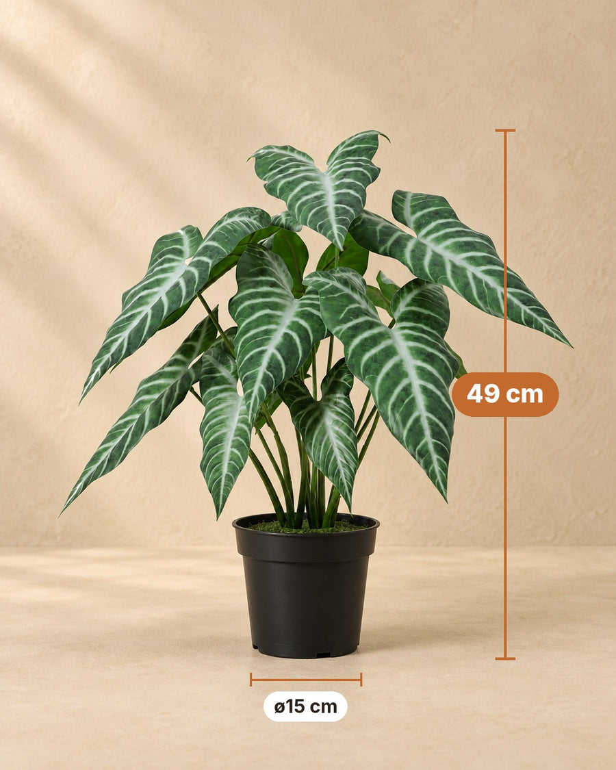 Kunstplant Alocasia Polly 49cm - ø15