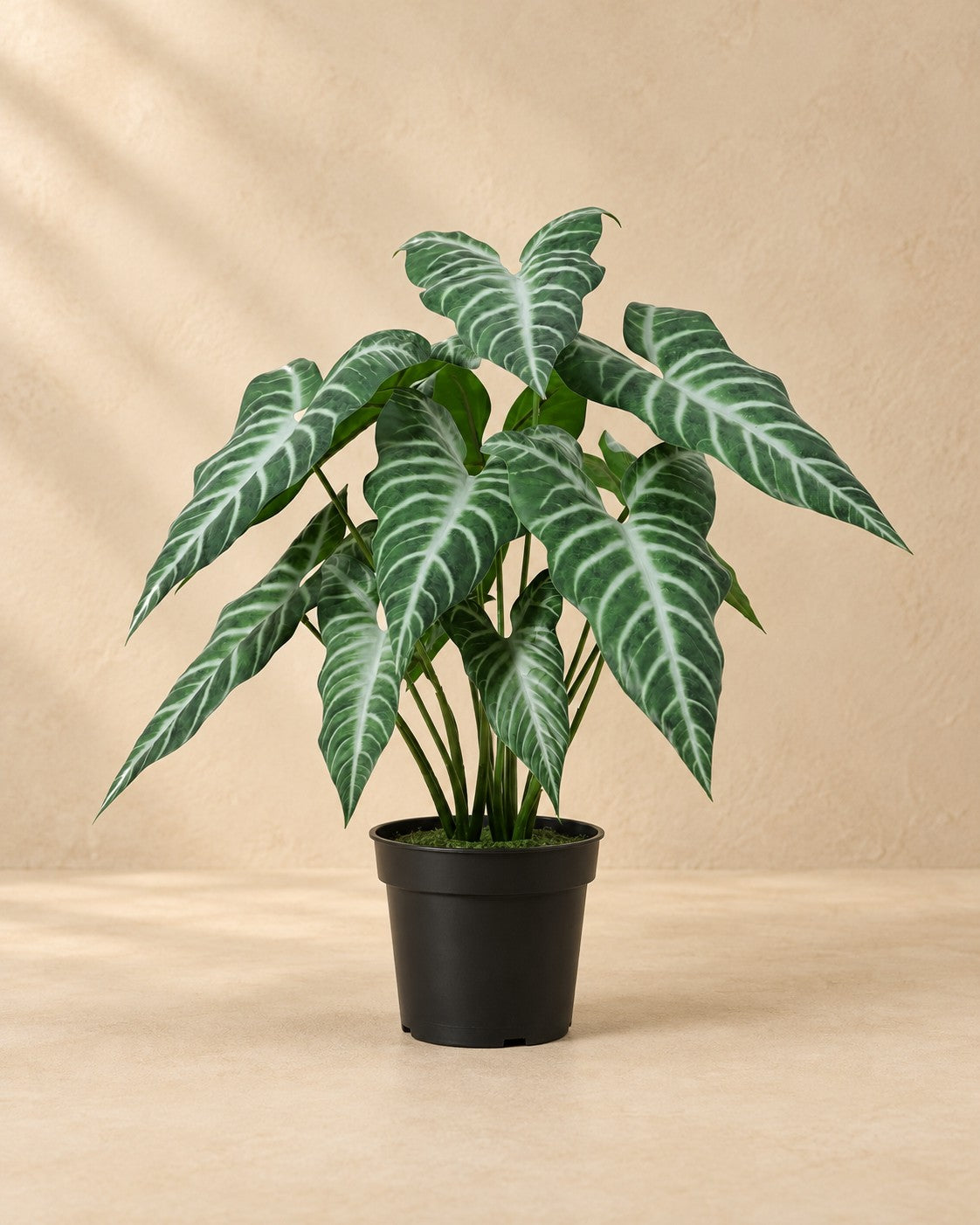 Kunstplant Alocasia Polly (Alocasia × amazonica 'Polly') van 49 cm hoog in pot van 15 cm