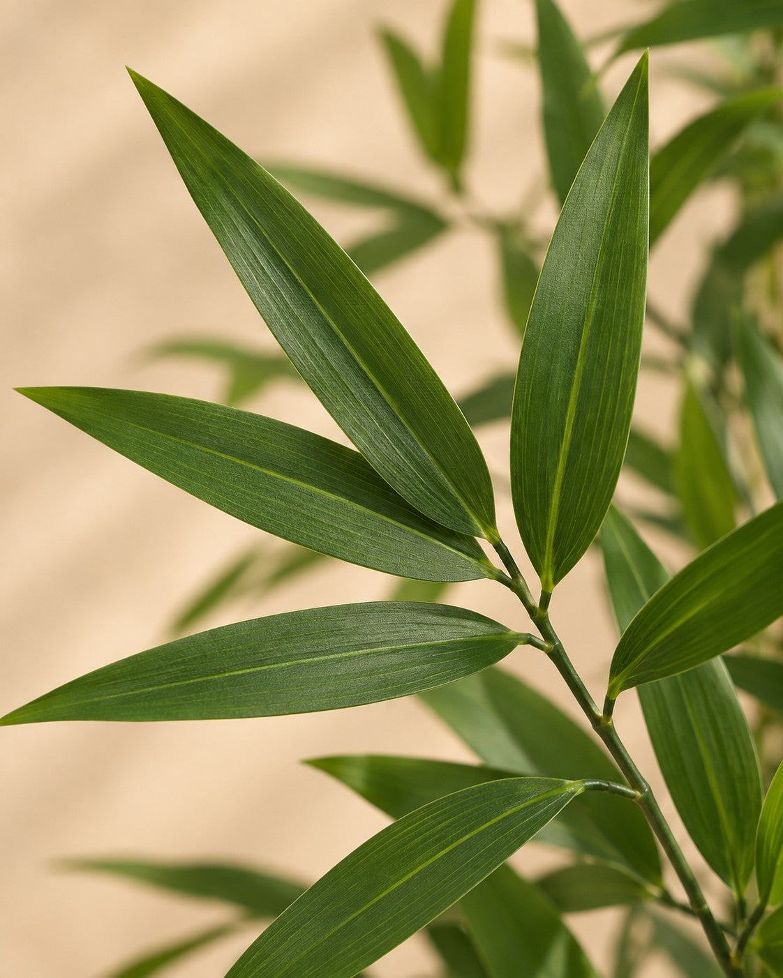 Close-up van het blad van de Kunstplant Bamboe