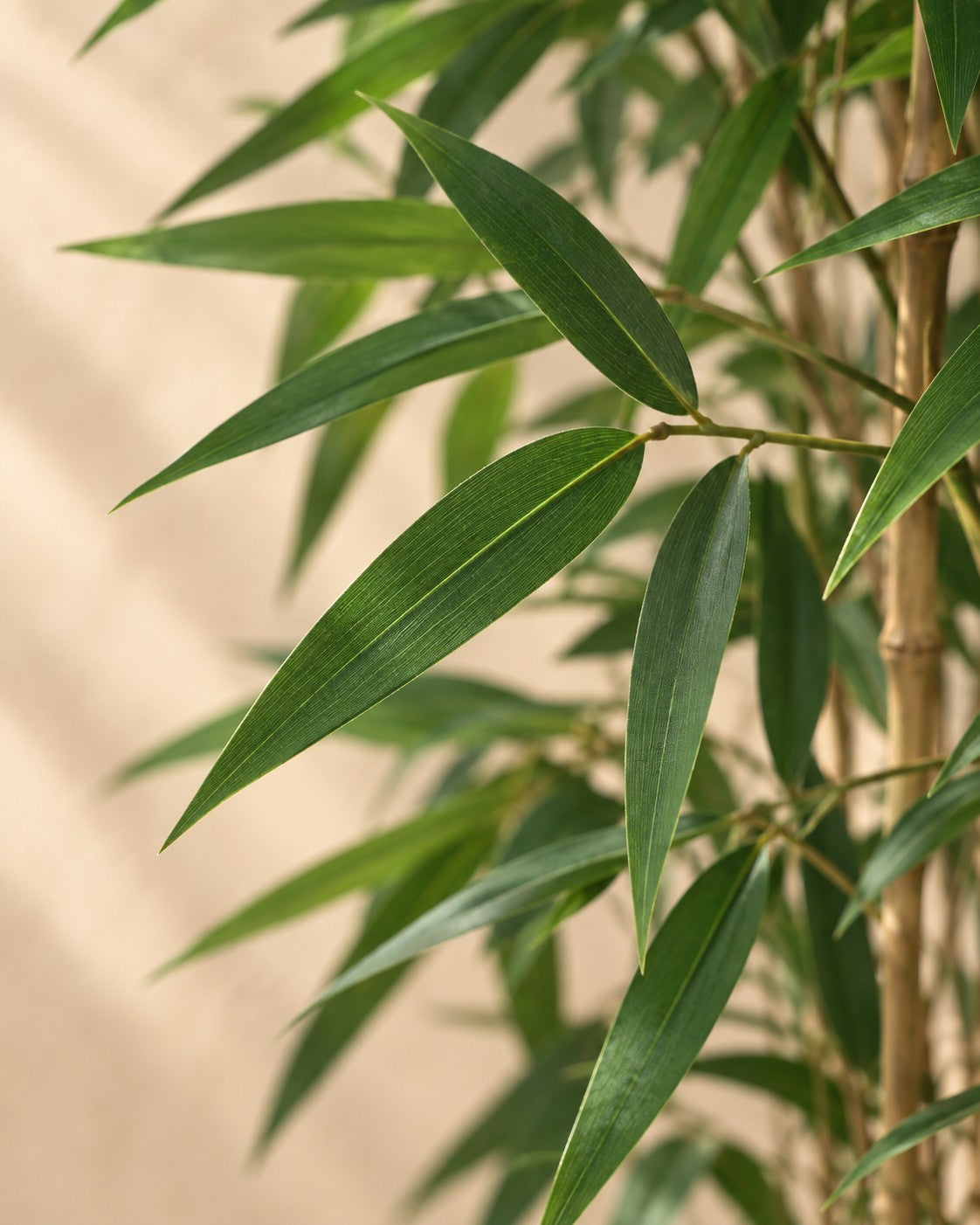 Close-up van het blad van de Kunstplant Bamboe