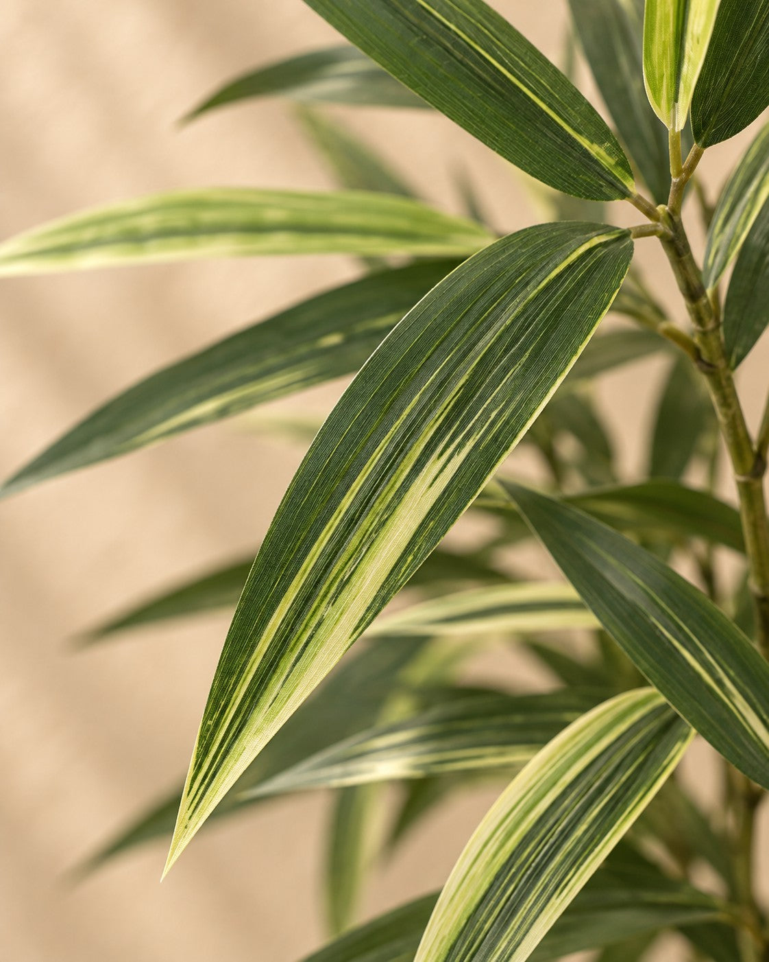 Close-up van het blad van de Kunstplant Bamboe