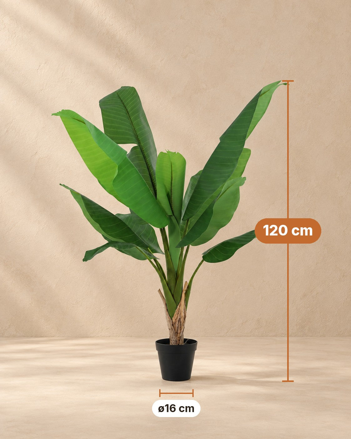 Dimensions of the Artificial plant Banana plant Musa: 120 cm tall, pot ø16 cm