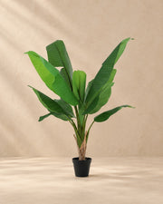 Artificial plant Banana plant Musa (Musa sp.), 120 cm tall in a 16 cm pot