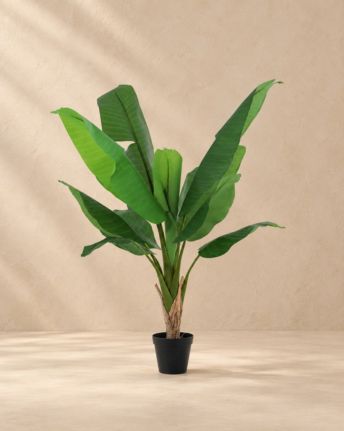 Artificial plant Banana plant Musa (Musa sp.), 120 cm tall in a 16 cm pot