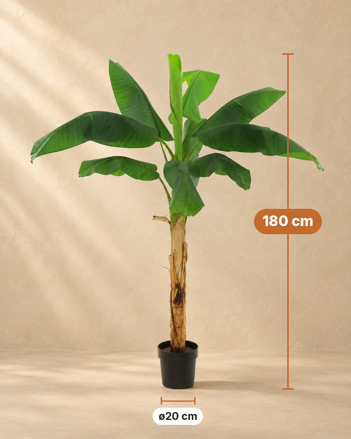 Maße Kunstpflanze Bananenpflanze Musa: 180 cm hoch, Topf ø20 cm