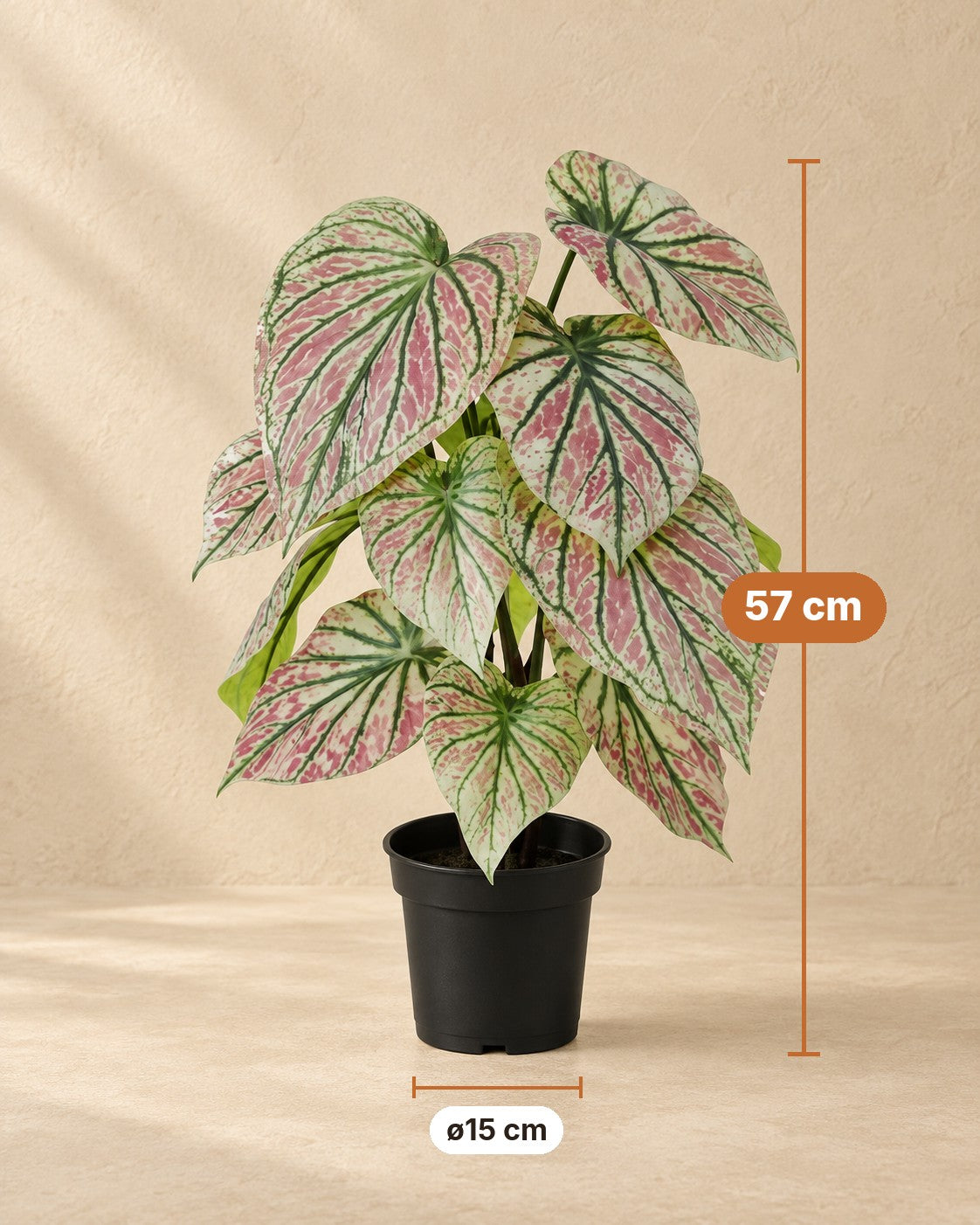 Afmetingen Kunstplant Caladium groen roze: 57 cm hoog, pot ø15 cm