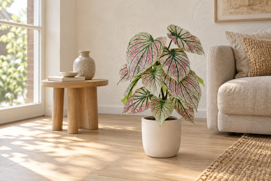 Kunstplant Caladium groen roze 57cm - ø15