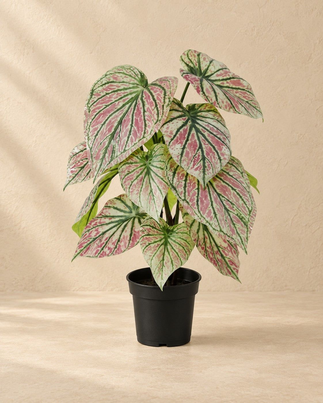 Kunstplant Caladium groen roze (Caladium bicolor) van 57 cm hoog in pot van 15 cm