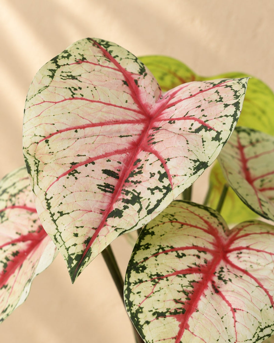 Plante artificielle Caladium blanc rose 57cm - ø15