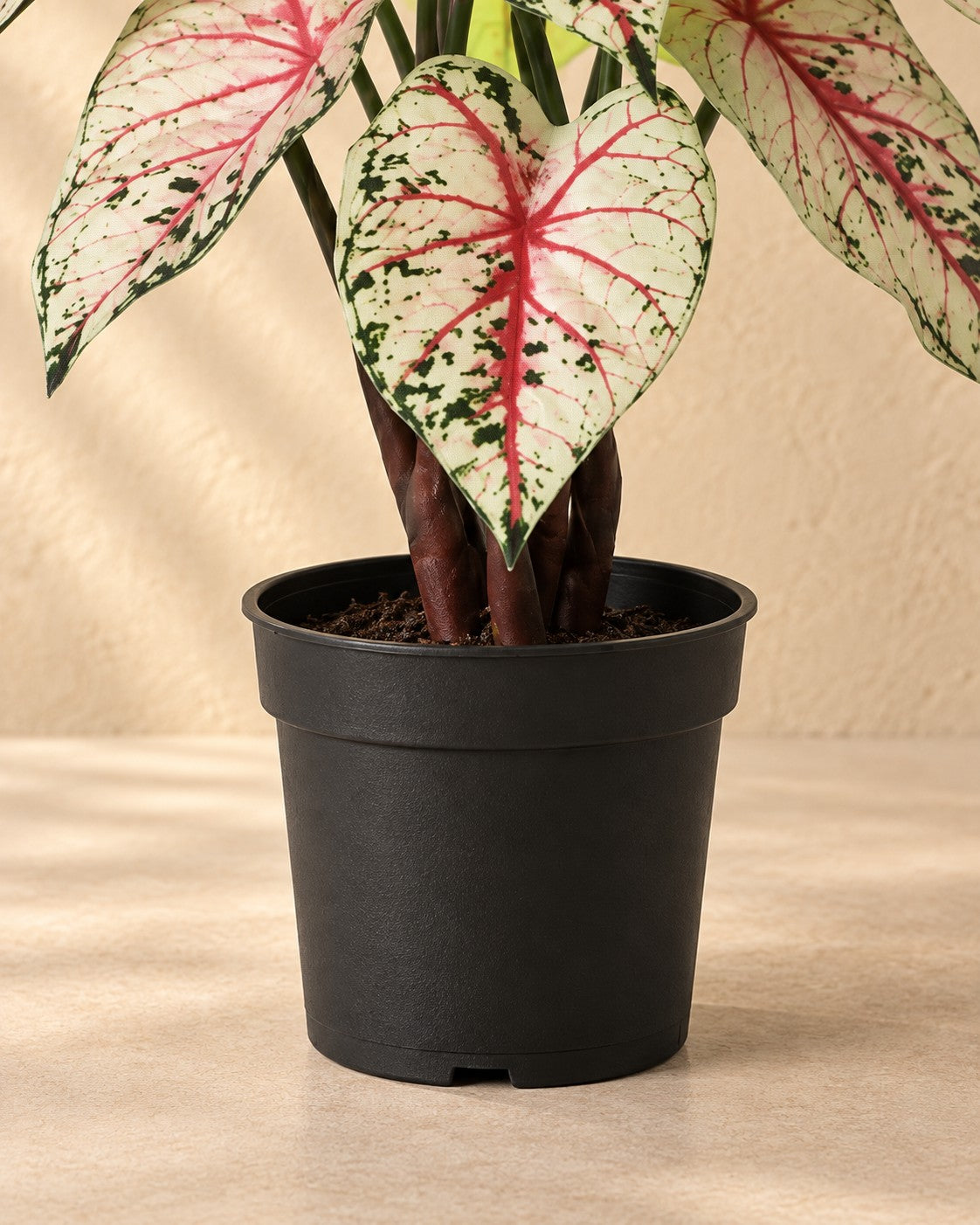 Partie basse de Plante artificielle Caladium blanc rose (Caladium bicolor) avec son pot