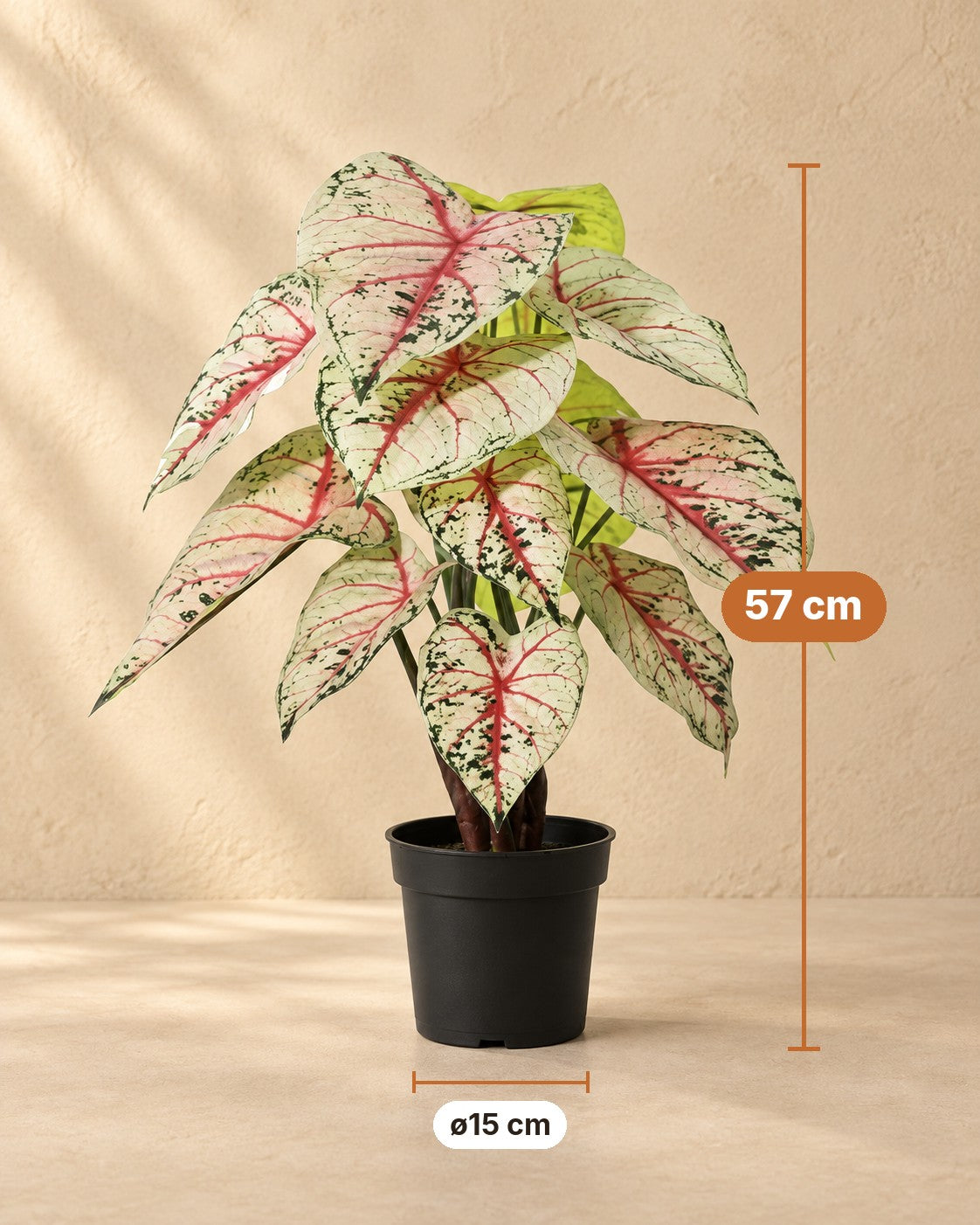 Dimensions Plante artificielle Caladium blanc rose : 57 cm de haut, pot ø15 cm