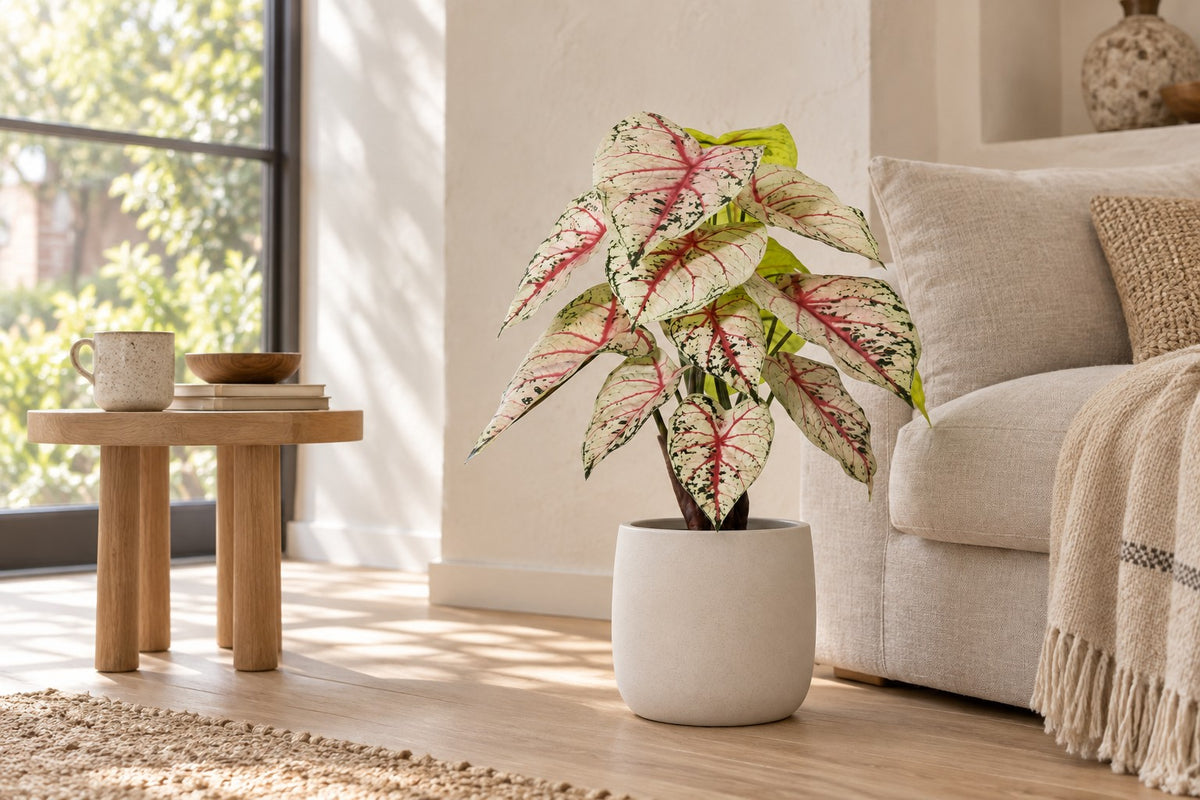Plante artificielle Caladium blanc rose, 57 cm, dans a white ceramic planter dans un salon lumineux
