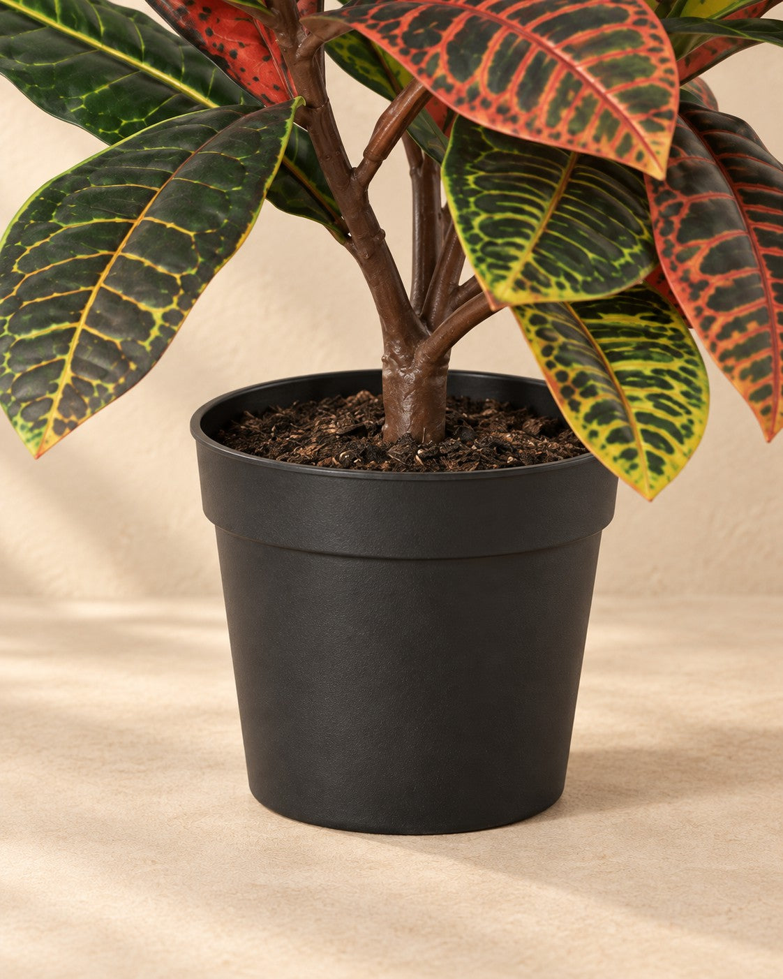 Onderste deel van de Kunstplant Croton Codiaeum (Codiaeum variegatum) met de pot