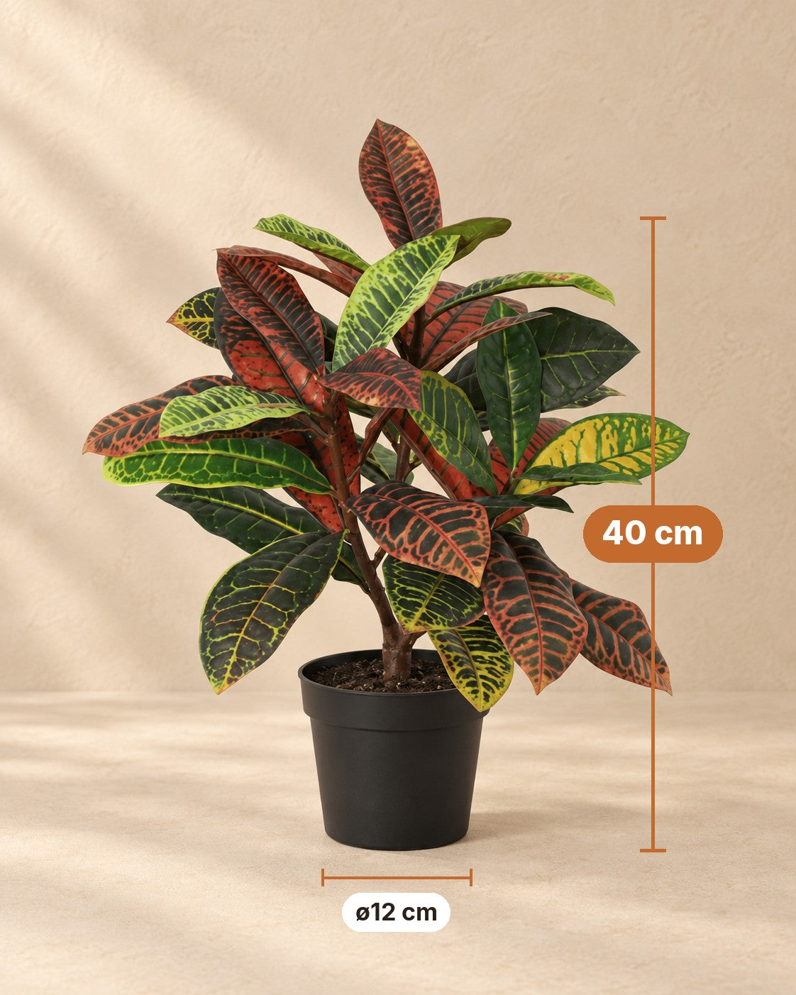 Afmetingen Kunstplant Croton Codiaeum: 40 cm hoog, pot ø12 cm