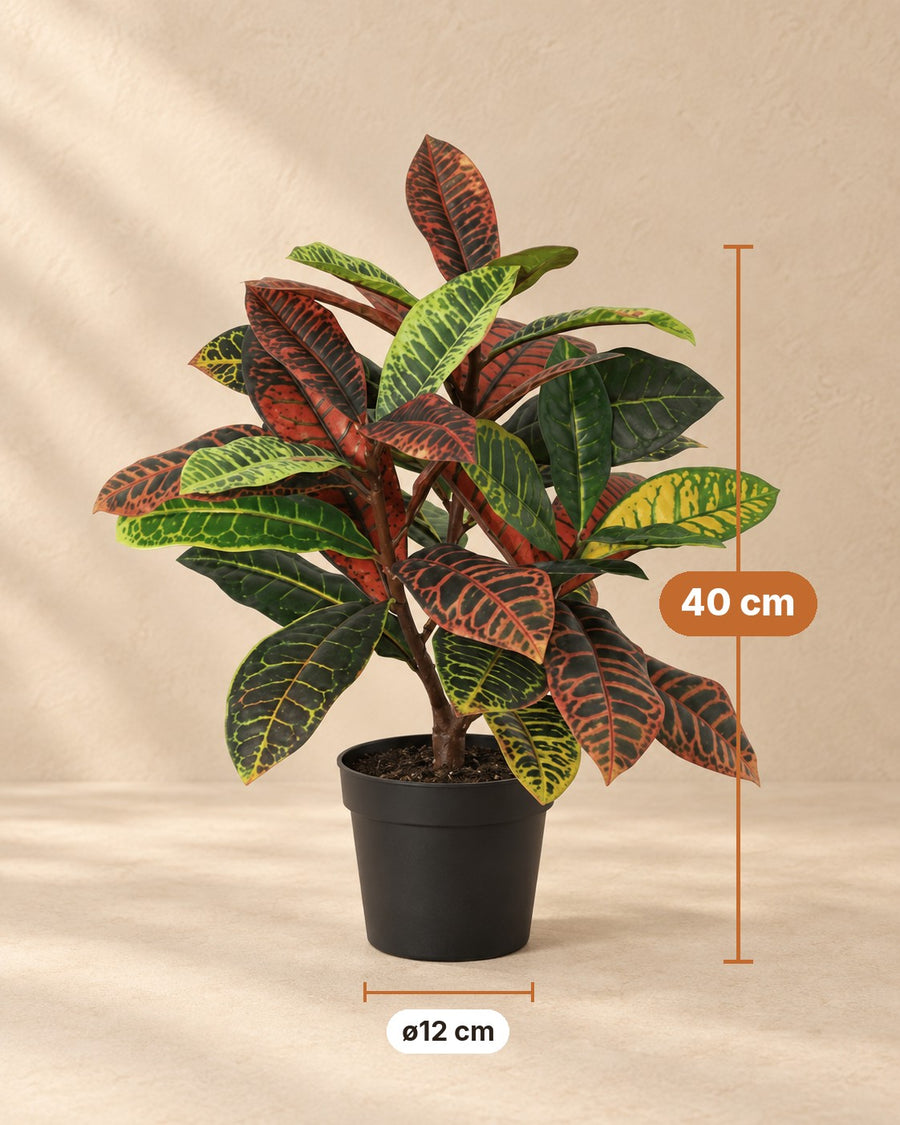 Kunstplant Croton Codiaeum 40cm - ø12