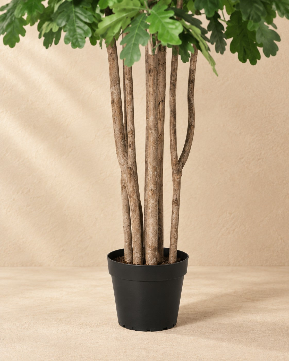 Onderste deel van de Kunstplant Eikenboom (Quercus sp.) met de pot