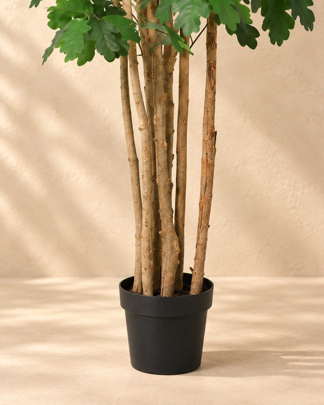 Onderste deel van de Kunstplant Eikenboom (Quercus sp.) met de pot