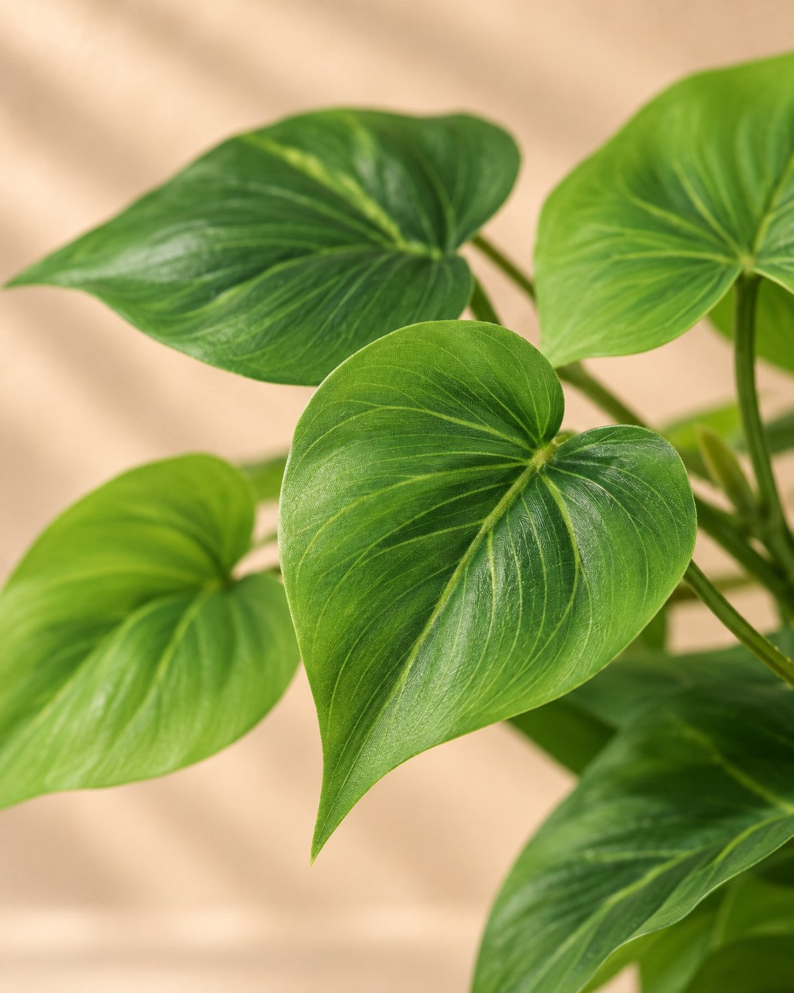 Close-up van het blad van de Kunstplant Epipremnum inclusief witte pot (Epipremnum aureum)