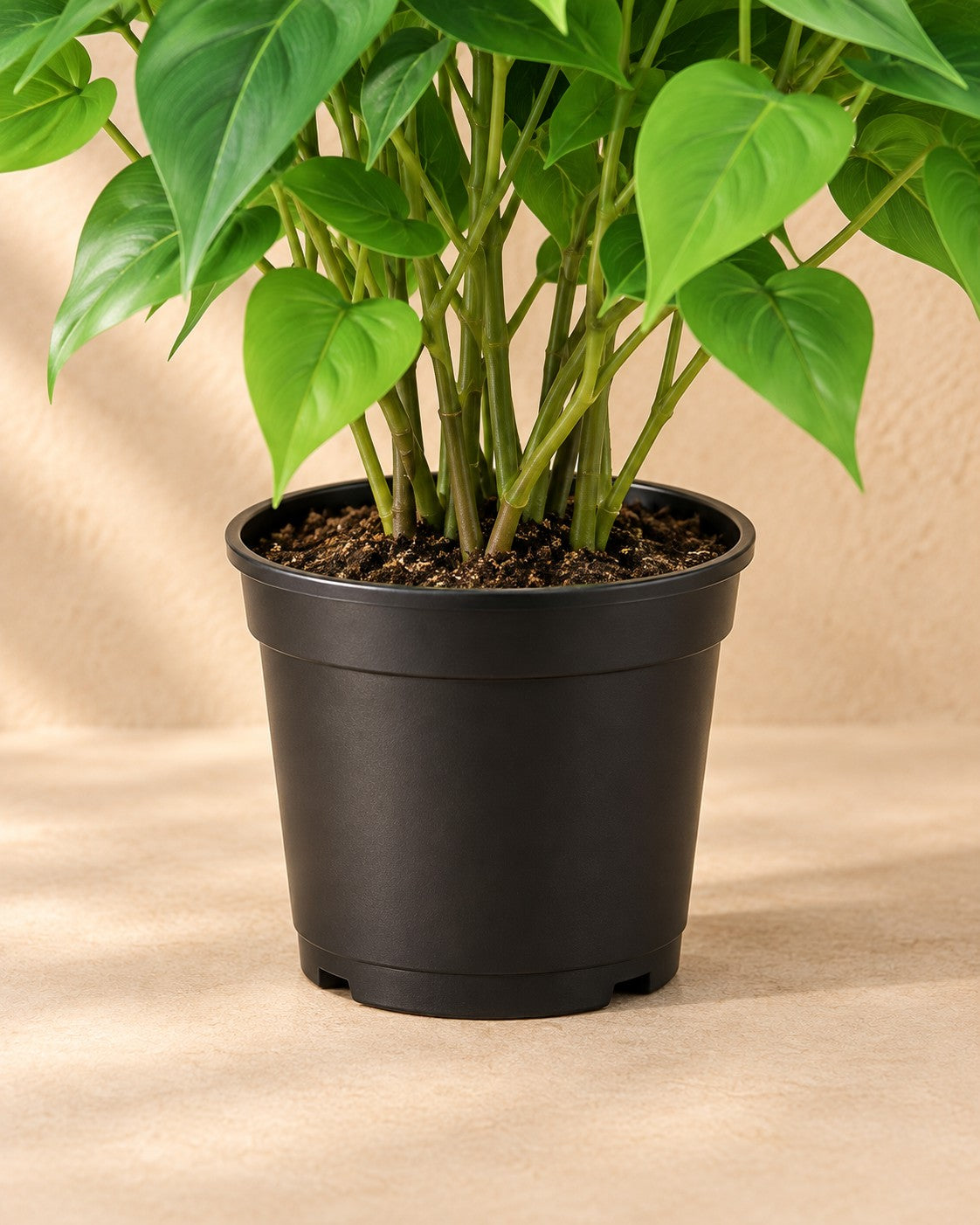 Parte bassa di Pianta artificiale Epipremnum con vaso bianco incluso (Epipremnum aureum) con il vaso