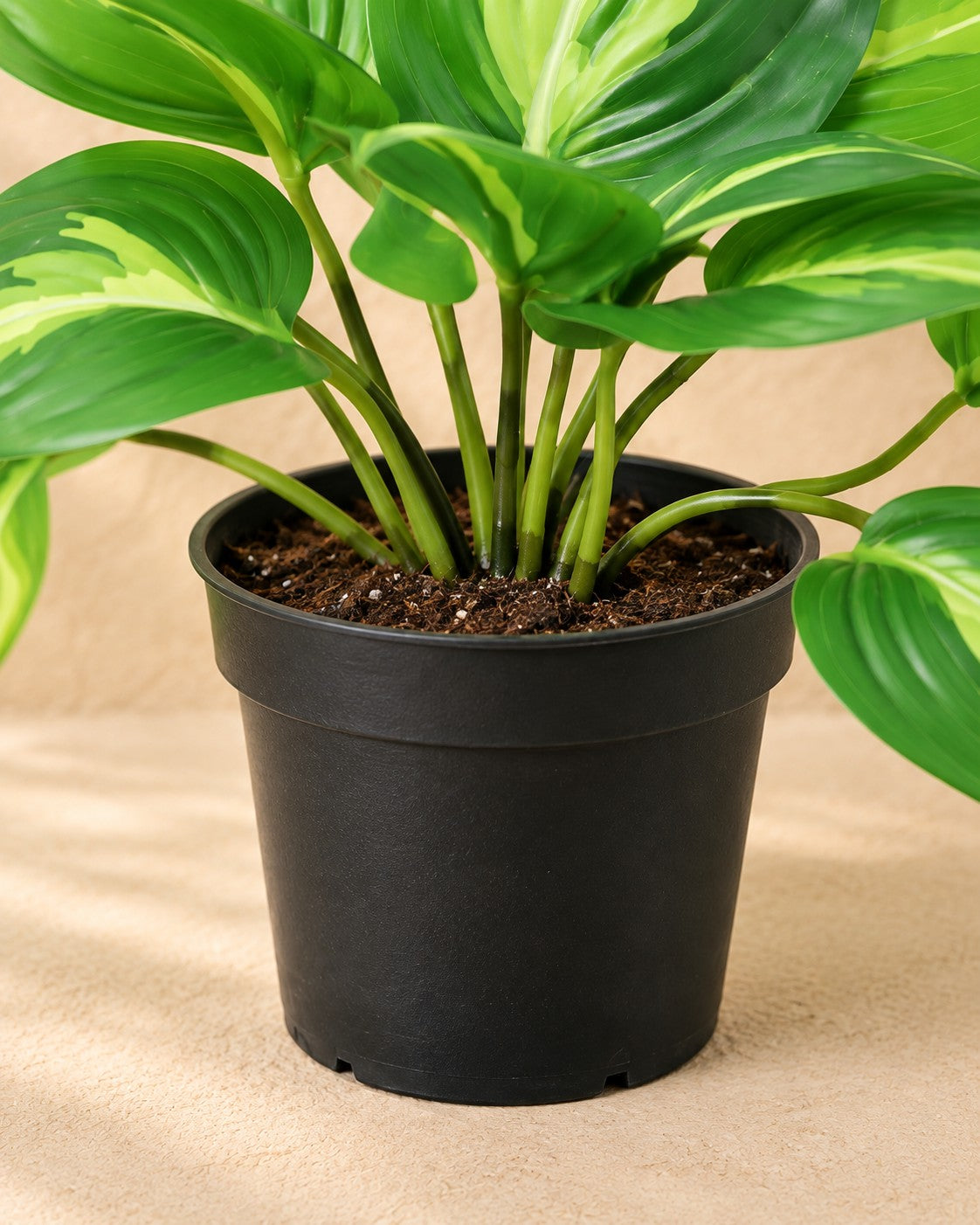 Parte inferior de Epipremnum Variegata artificial (Epipremnum aureum) con su maceta